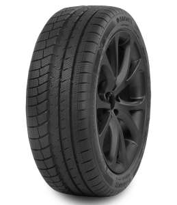 DAVANTI 225/45 R17 Wintoura+ 94V XL TL